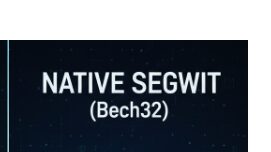 What is Native SegWit?