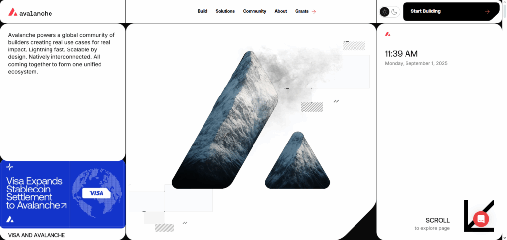 10 Best Altcoins with Real Adoption in 2025 11 Avalanche (AVAX)