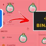 How to Transfer AXS and SLP from Ronin to Binance Easily