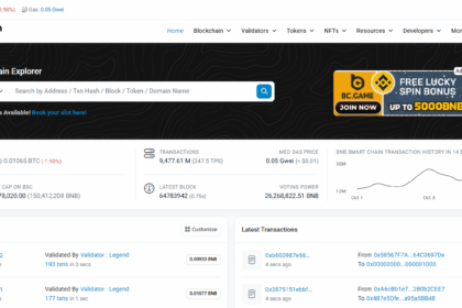 What Is BscScan? Complete Guide on How to Use It