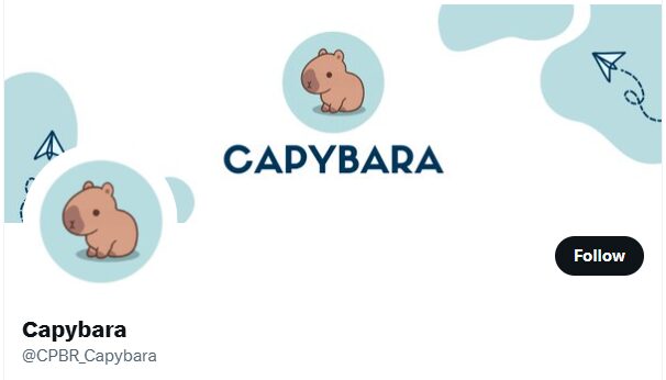 Capybara ($CPBR)