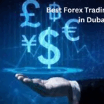10 Best Forex Brokers for Expat Traders in Dubai Using Crypto
