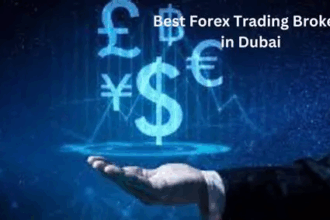 10 Best Forex Brokers for Expat Traders in Dubai Using Crypto