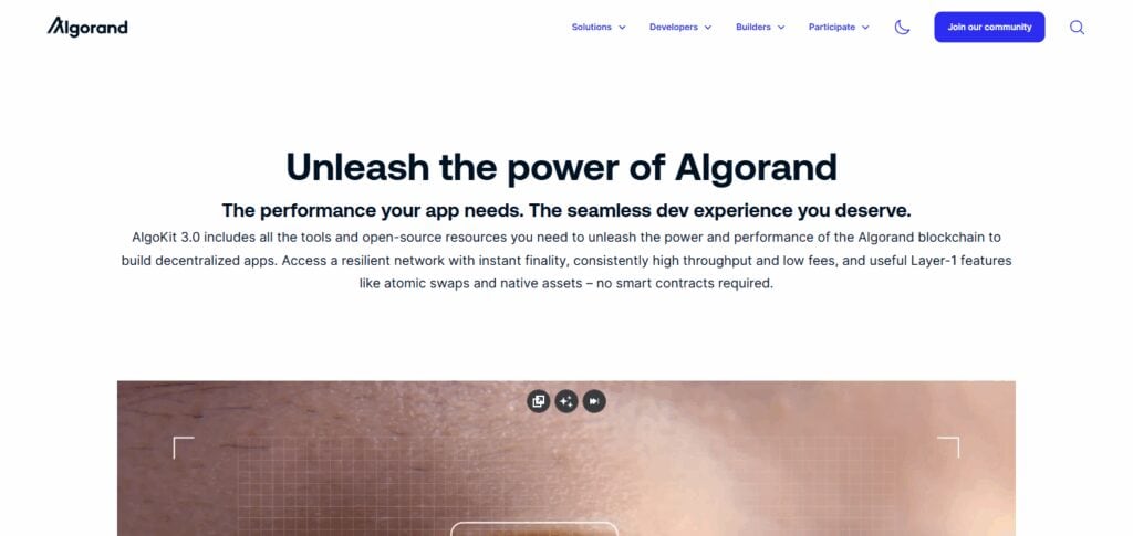 Algorand (ALGO)