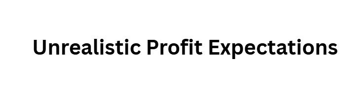 Unrealistic Profit Expectations