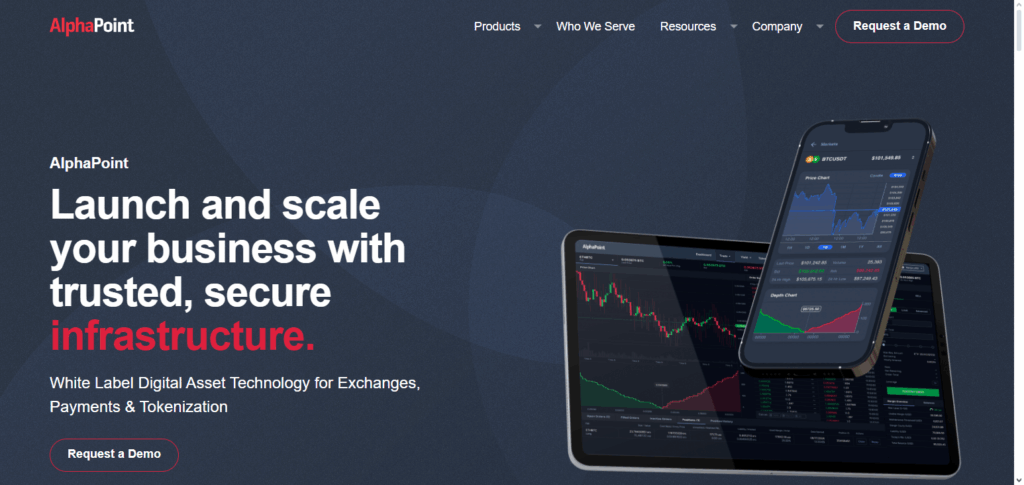 10 Best Crypto Exchange Setup Consultants for New Founders 4 AlphaPoint