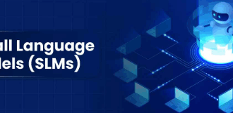 10 Small Language Models for Web3 Leaders