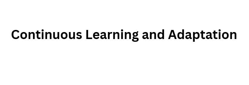 Continuous Learning and Adaptation