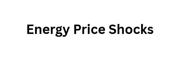 Energy Price Shocks