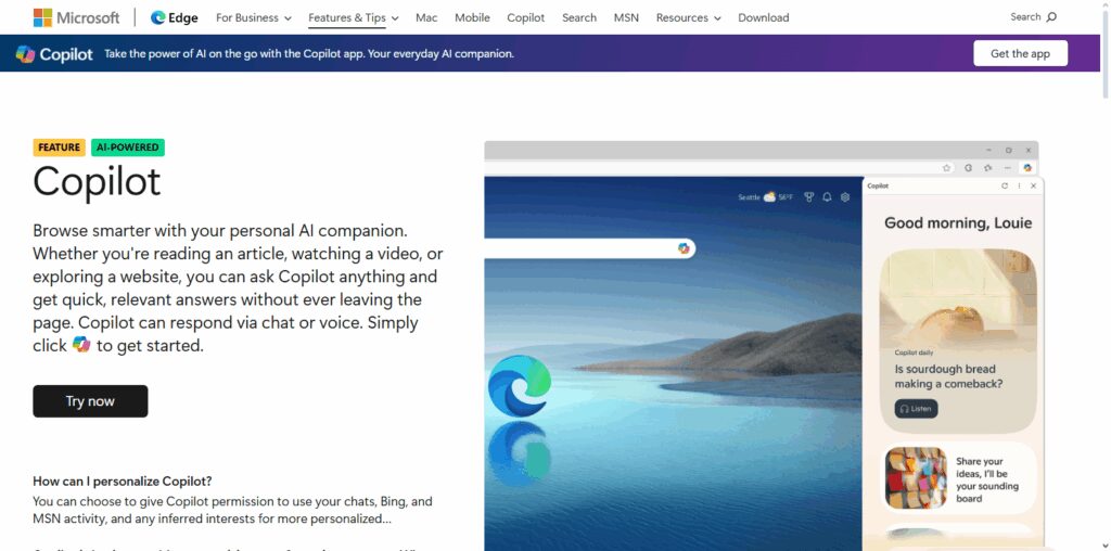 Bing Copilot (Edge)
