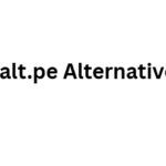 10 Best Salt.pe Alternatives for Payments