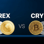 12 Key Differences Between Crypto and Forex Trading Explained