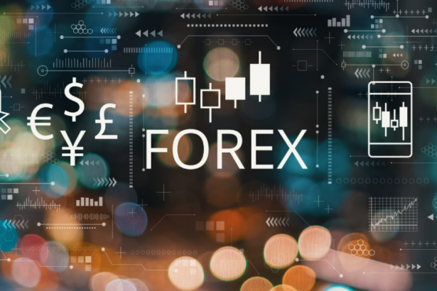 10 Best Forex Brokers Offering Institutional-Grade Order Routing