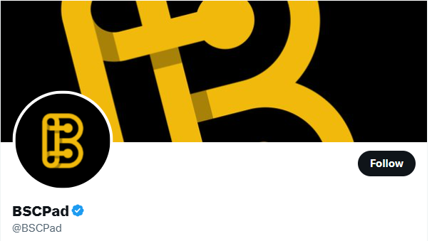 10 Best Launchpads for New Crypto Projects (Zero Scams) 5 BSCPad