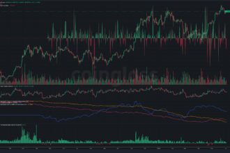 10 Best CoinGlass Alternatives for Derivatives Data