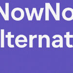 10 Best NowNodes Pay Alternatives In 2026