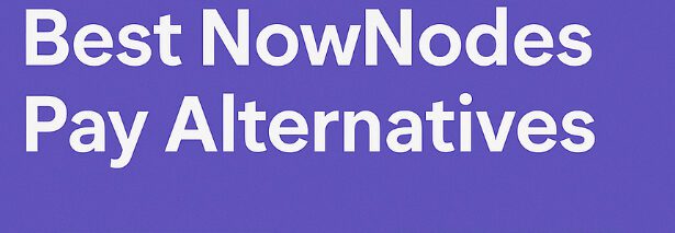 10 Best NowNodes Pay Alternatives In 2026