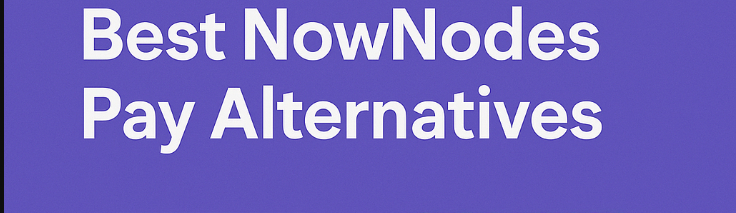 10 Best NowNodes Pay Alternatives In 2026