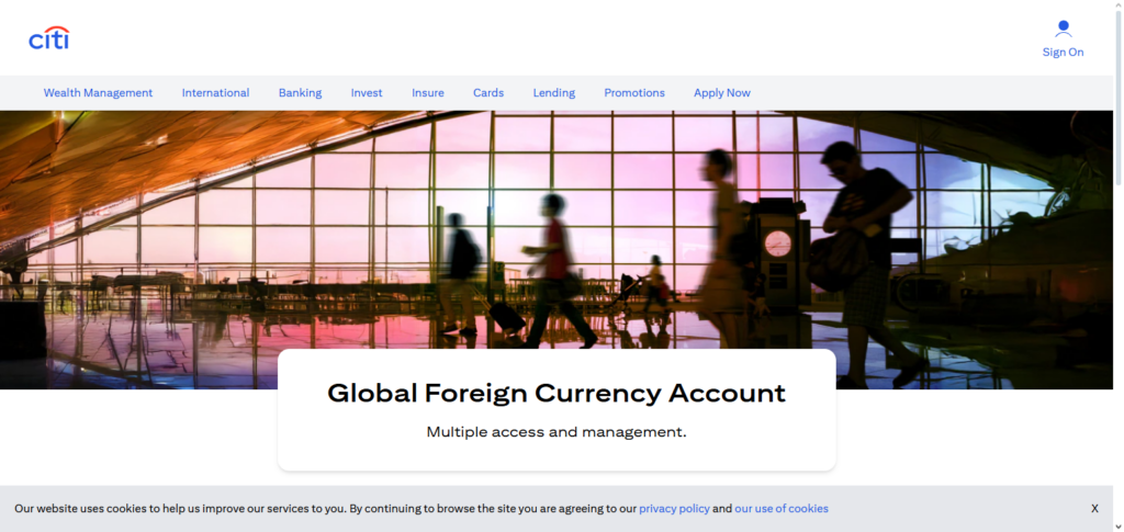 Citibank Global Currency Account