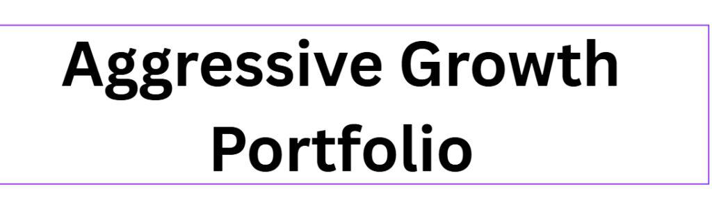 Aggressive Growth Portfolio