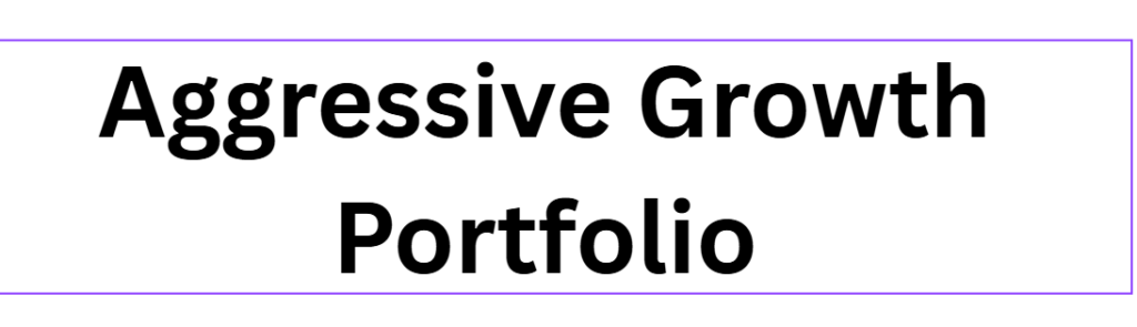  Aggressive Growth Portfolio