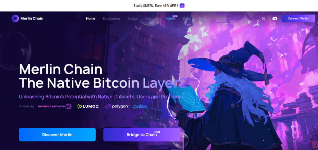 10 Best Bitcoin Layer-2 Solutions for Fast & Cheap BTC Payments 6 Merlin Chain