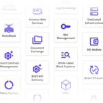 10 Top Permissioned Blockchains for Institutional Assets