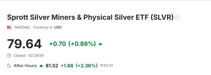 Silver rStock (SLVR)