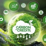 10 Best Platforms for Trading On-Chain Carbon Credits & Energy