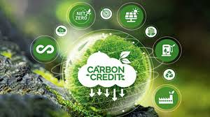 10 Best Platforms for Trading On-Chain Carbon Credits & Energy