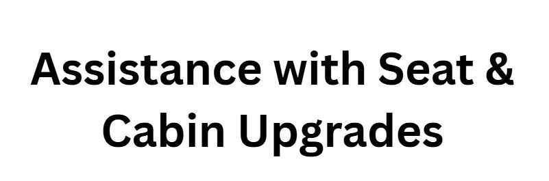 Assistance with Seat & Cabin Upgrades
