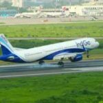 10 Best Travel Agencies for Hassle-Free Group Flight Booking