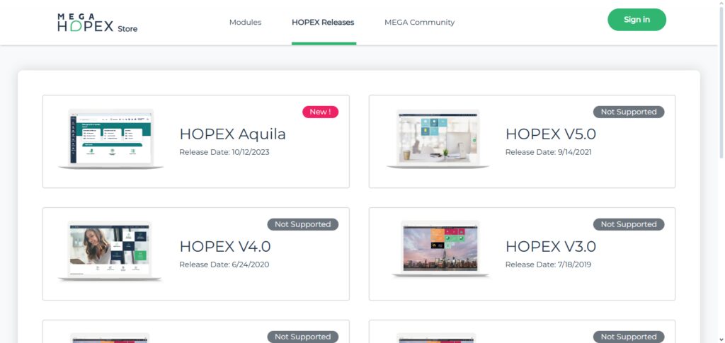 MEGA International (HOPEX)