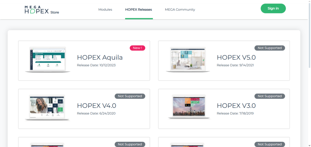 MEGA International (HOPEX)