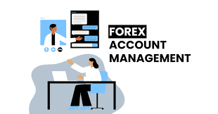 10 Best Forex Brokers for Money Managers in 2026 – Top Regulated Platforms