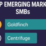 Top 10 Crypto Lending Protocols for Emerging Markets SMBs