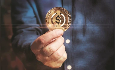 Case Studies / Examples (Optional)