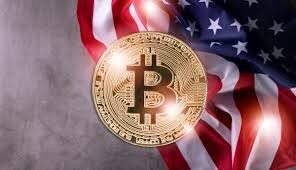 Implications for Investors