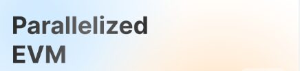What is Parallelized EVMs?