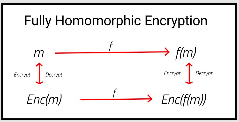 Fully Homomorphic Encryption: DeFi’s Privacy Game-Changer 4 Future Outlook