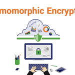 Fully Homomorphic Encryption: DeFi’s Privacy Game-Changer
