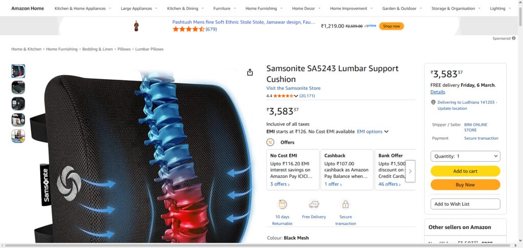 Samsonite Ergonomic Lumbar Pillow
