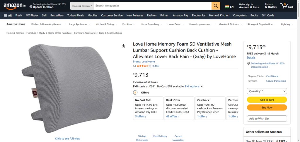 LoveHome Lumbar Support Pillow