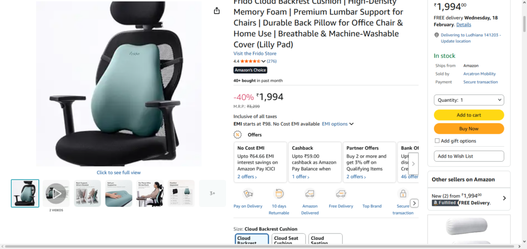 10 Best Lumbar Support Pillows From Amazon for Comfort 2 Frido Cloud Backrest Cushion