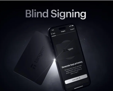 What Is Blind Signing? Risks, Uses & How It Works Explained 3 Real-World Examples