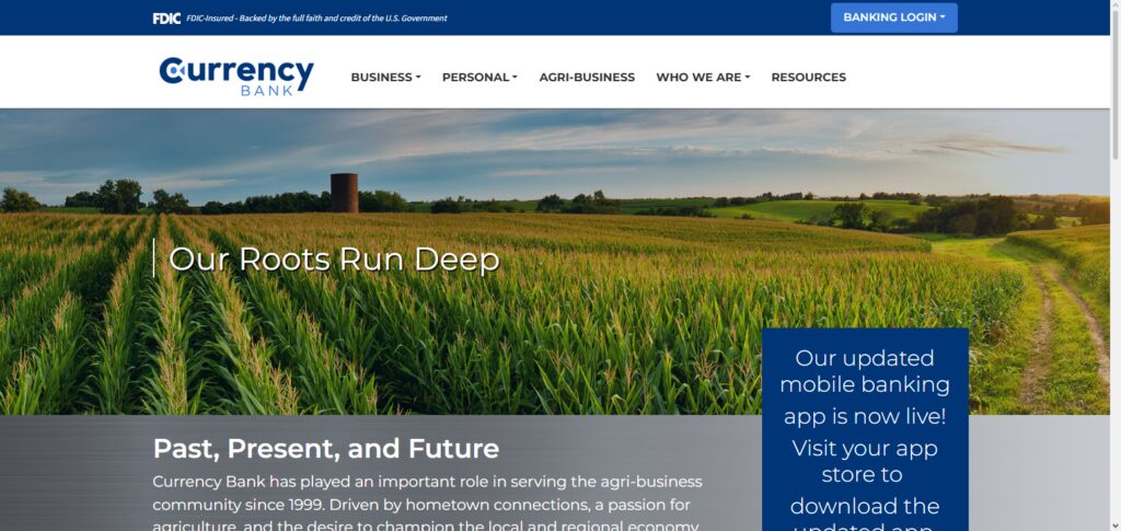 Currency Finance