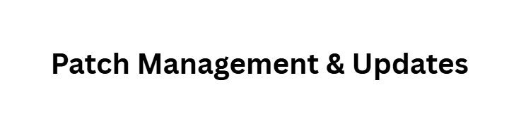 Patch Management & Updates