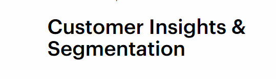 Customer Insights & Segmentation