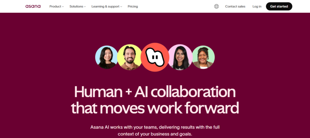 Asana Intelligence