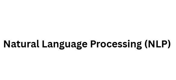Natural Language Processing (NLP)